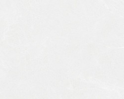대림바스타일 300×600 OZ787