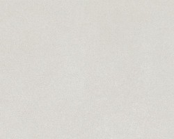 대림바스타일 300×600 OZ702