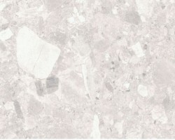 CIENA01 (600×1200)