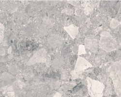 CIENA02 (600×1200)